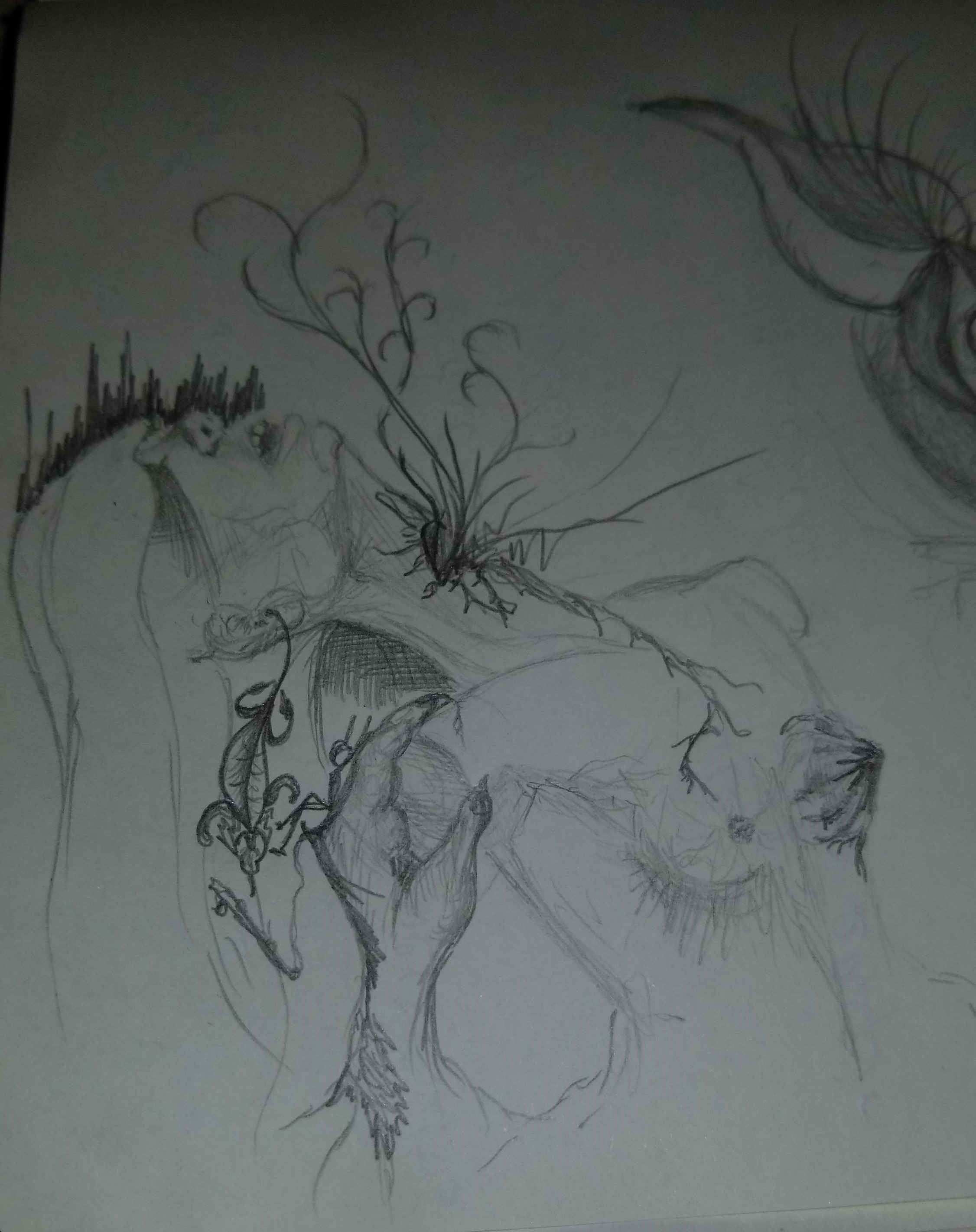claw